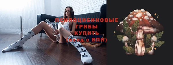 ПСИЛОЦИБИНОВЫЕ ГРИБЫ Абинск