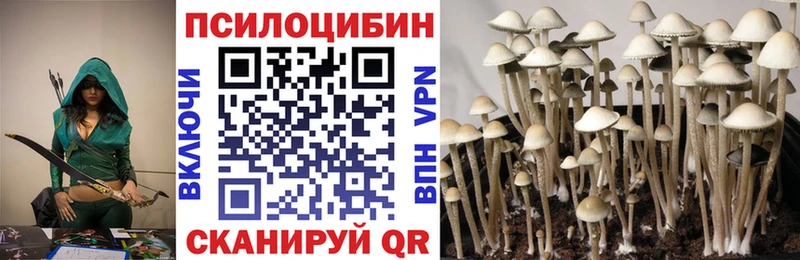 Псилоцибиновые грибы прущие грибы  Темников 
